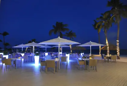 1269235_291382641001113_172927210_o